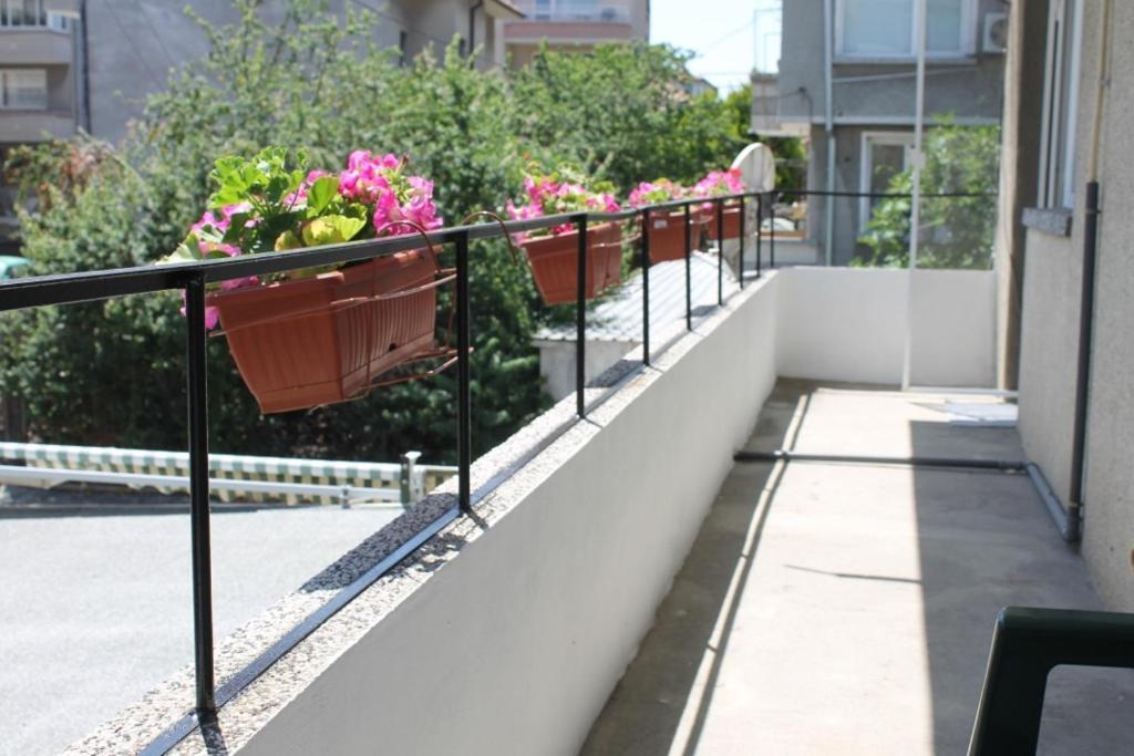 Sunny Day Apartment Πομόριε Εξωτερικό φωτογραφία